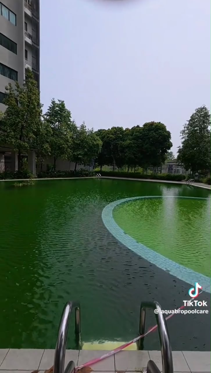 Pool Before Maintenance
